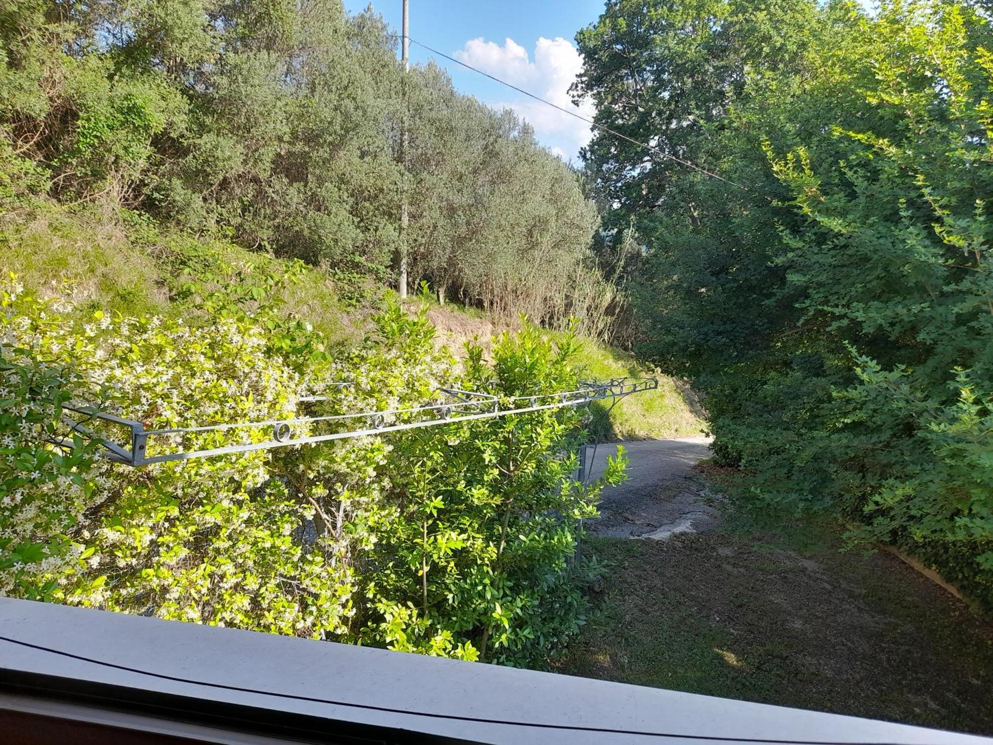 Camping Agriturist Sant'Anna Castelplanio Rom bilde