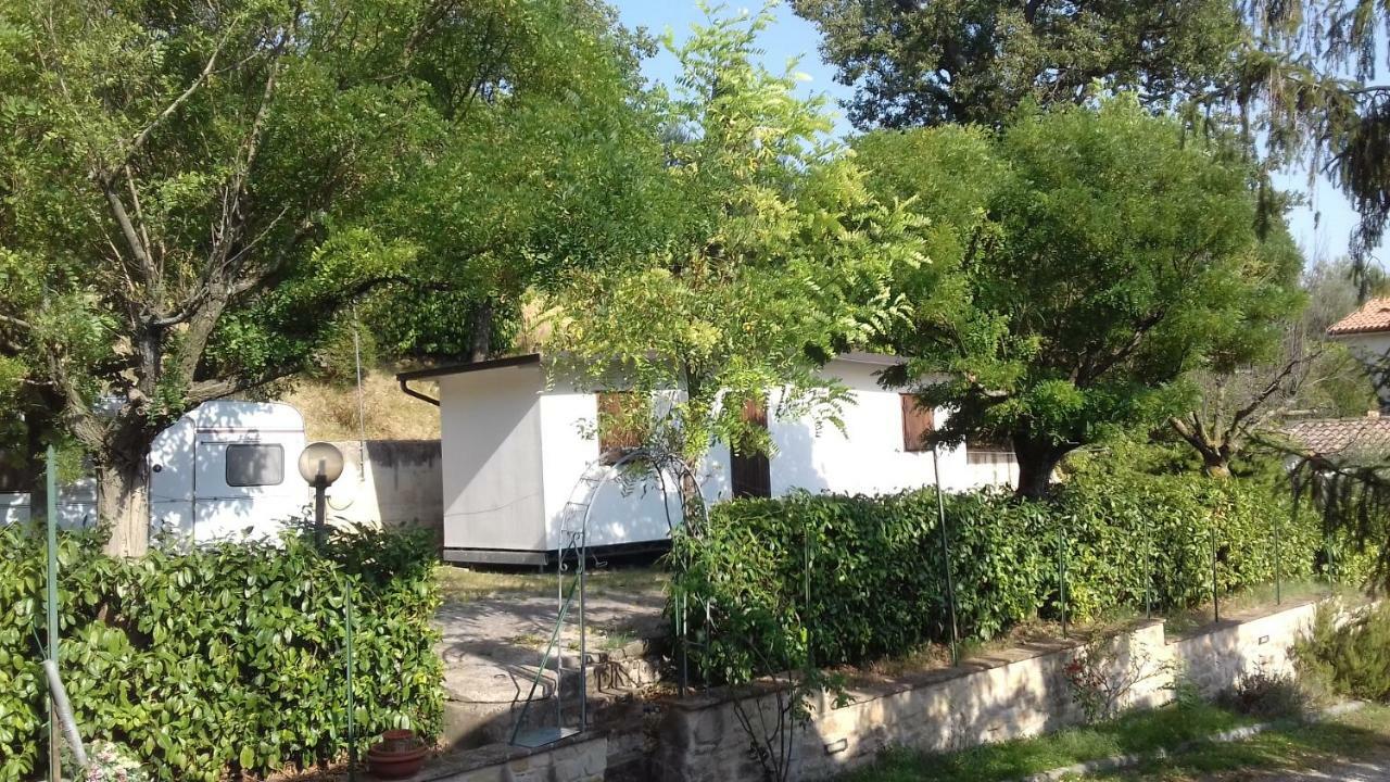 Camping Agriturist Sant'Anna Castelplanio Eksteriør bilde
