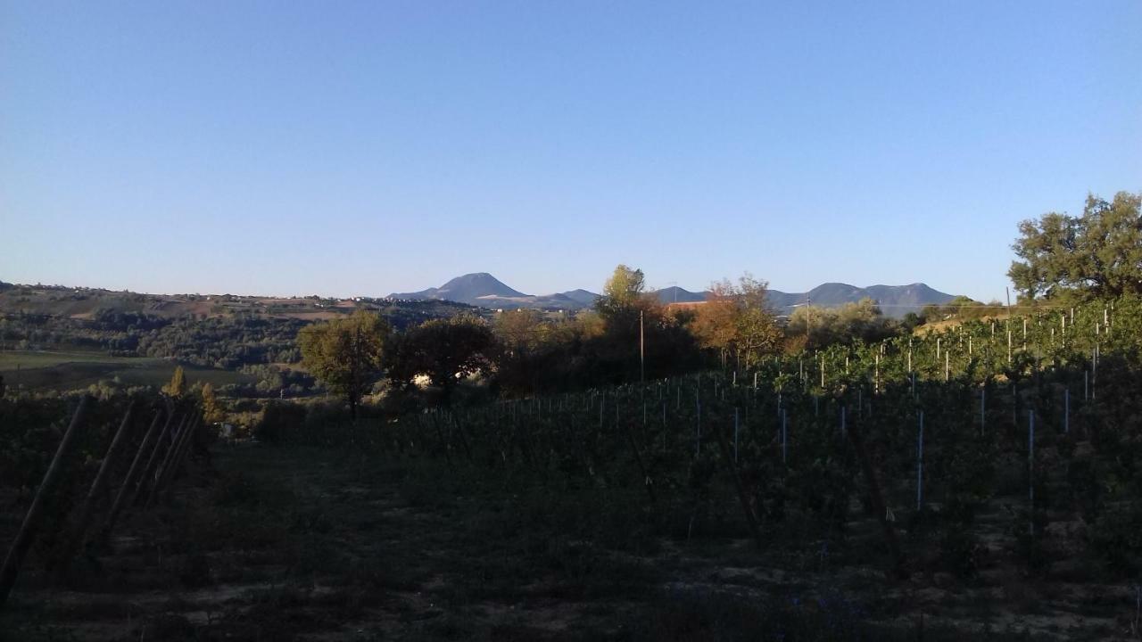 Camping Agriturist Sant'Anna Castelplanio Eksteriør bilde